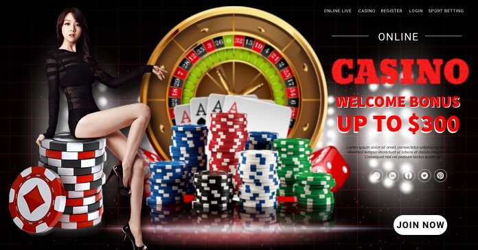z16 service